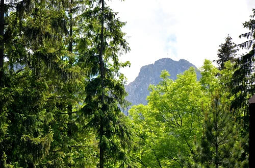 View of the mountains from the shelter